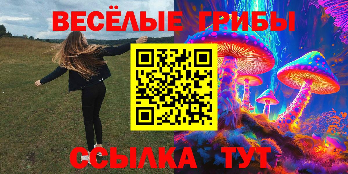 закладки  Вход с VPN  Черкесск  Галлюциногенные грибы MAGIC MUSHROOMS 